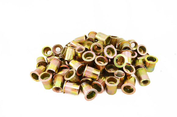 100 PCS RIVET NUT SIZE M10